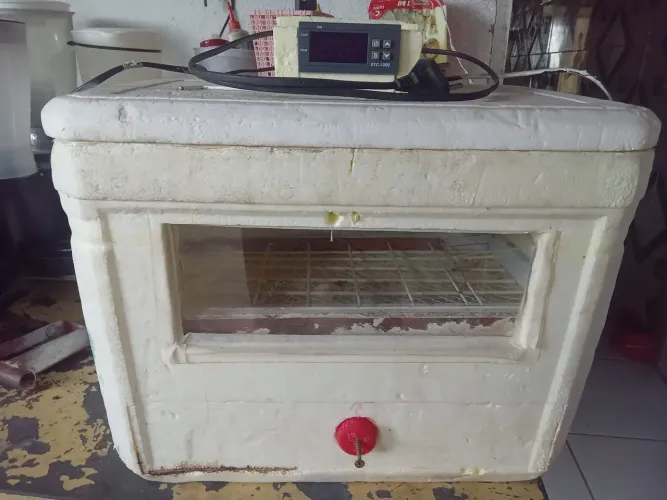 Vendo essa chocadeira semi automática de isopor
