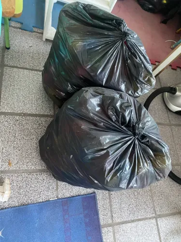 Bolinhas 