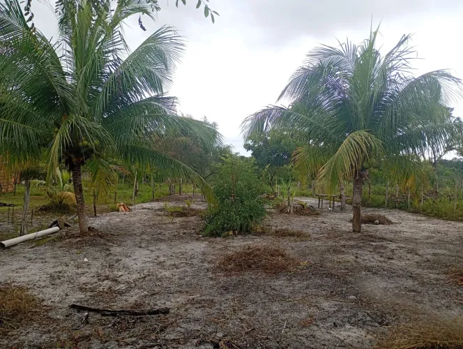 Terreno em porto de Sauípe 