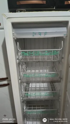 Freezer vertical