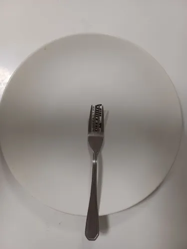 Prato refeição