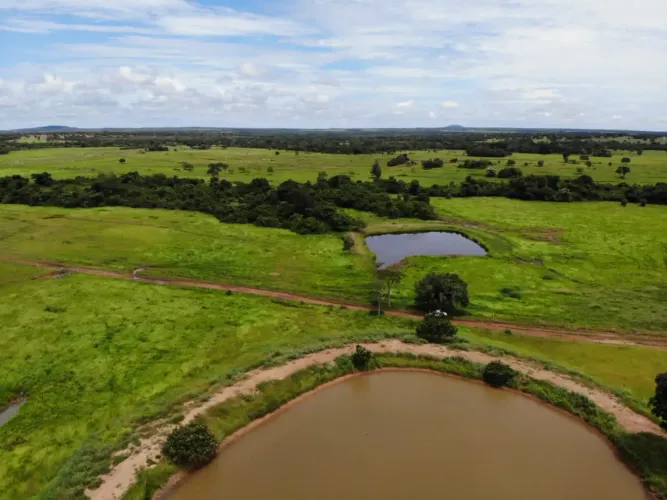 Fazenda a venda em - Porangatu - Goiás