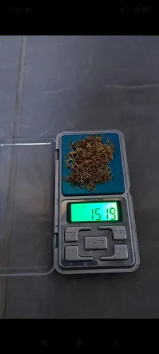 Vendo ouro ?