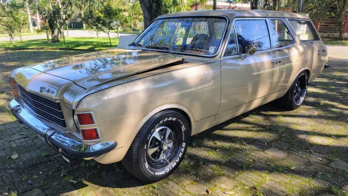 Chevrolet Caravan L/sl/s/ss 2.5/4.1/4.2 1978