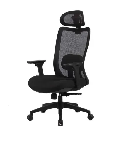 Cadeira De Escritório Ergonômica Preta Elements Astra Pro 