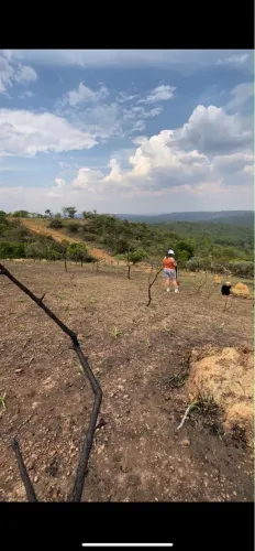 Vendo chácara Aceito carro