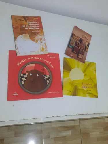 LIVROS PEDAGÓGICOS POR APENAS 50 REAIS!!!