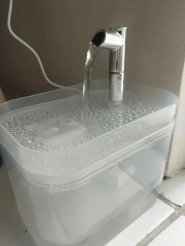 Fonte de água para gatos