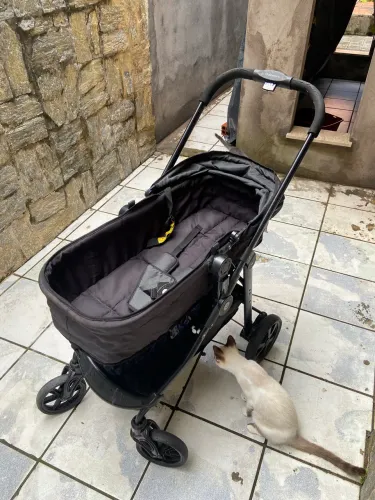 Carrinho de bebê Moisés + bebê conforto e base