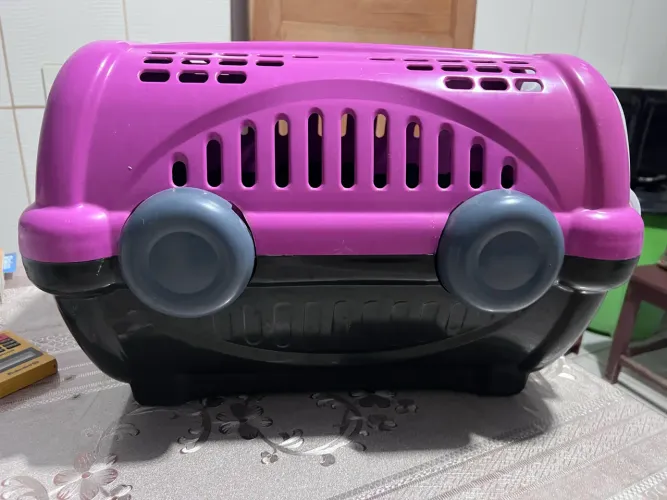 Caixa de Transporte de gato / cachorro pequeno porte