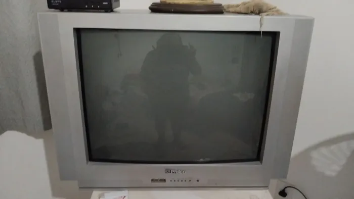 Vendo TV 29 polegadas, em ótimo estado funcionando