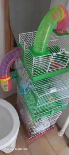 Gaiola para hamster