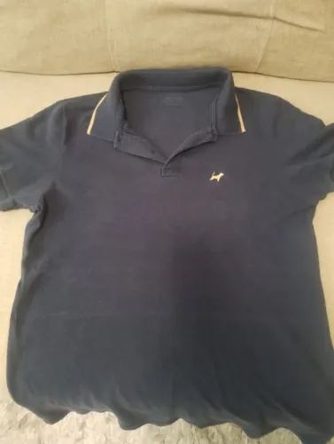 Polo Beagle