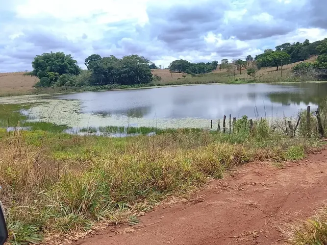 Fazenda a venda, em Itaguaru / Goiás