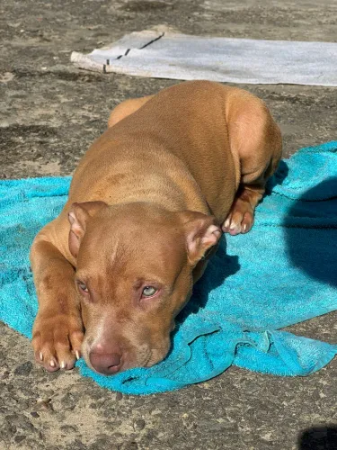 Pit monster