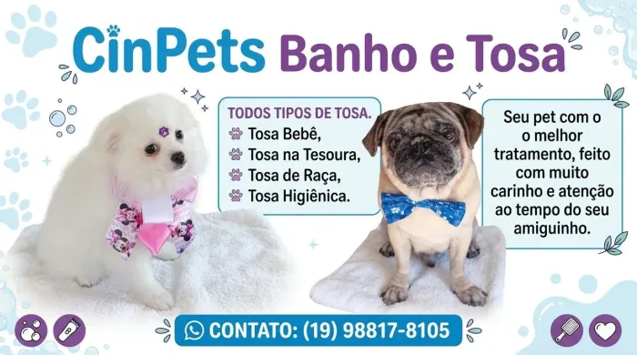 Vanho e tosa