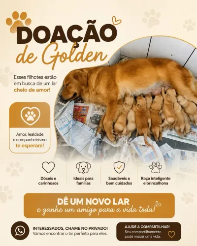 Doa-se para bom cuidador *
