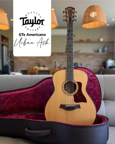 Taylor GTe Urban Ash