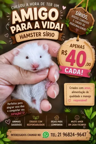 Hamster