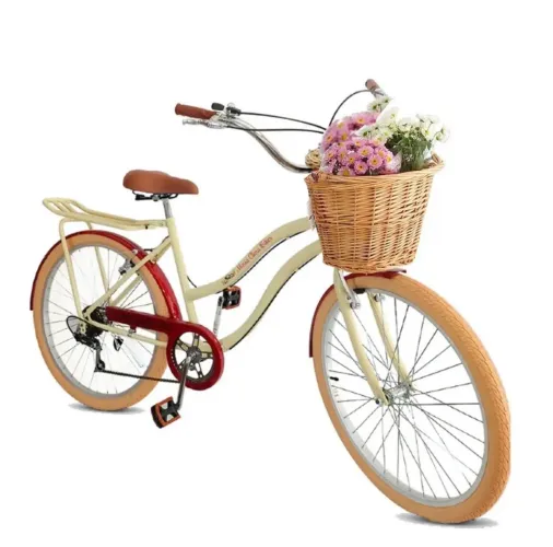 Bike estilo Retrô