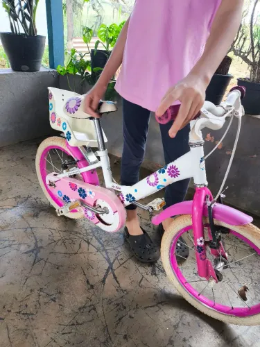 Bicicleta Infantil Aro 16