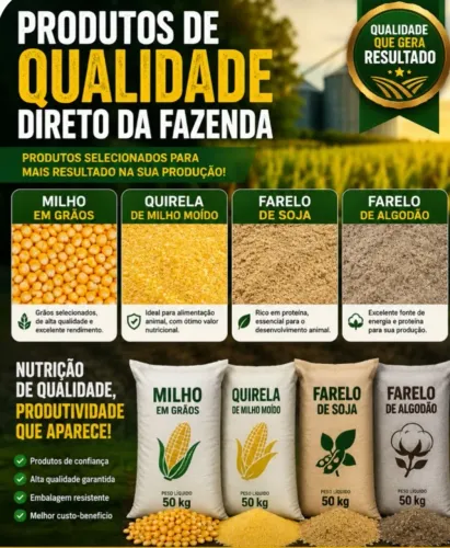 Milho em grãos Safra Nova,Farelo de soja moído