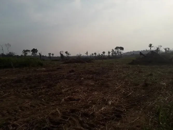 SÍTIO À VENDA - 57 HECTARES | LINHA 67 - BR-364