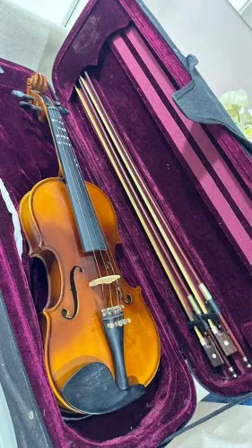 Violino 4/4 Michael vnm47 - Ebano séries