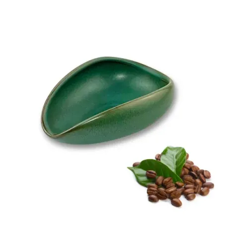 Dispenser Bandeja Dosador De Grãos de Café Porcelana Verde Escuro