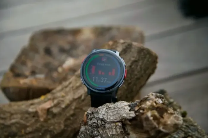 Polar Vantage V3