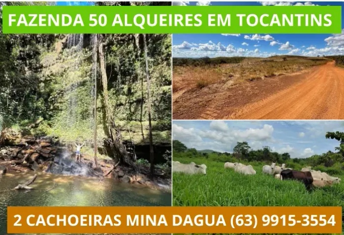 Fazenda, Terra, Lavoura, Platanção, Soja, Cana, Canavial, Cercada, Chacara, Chácara, Roça 