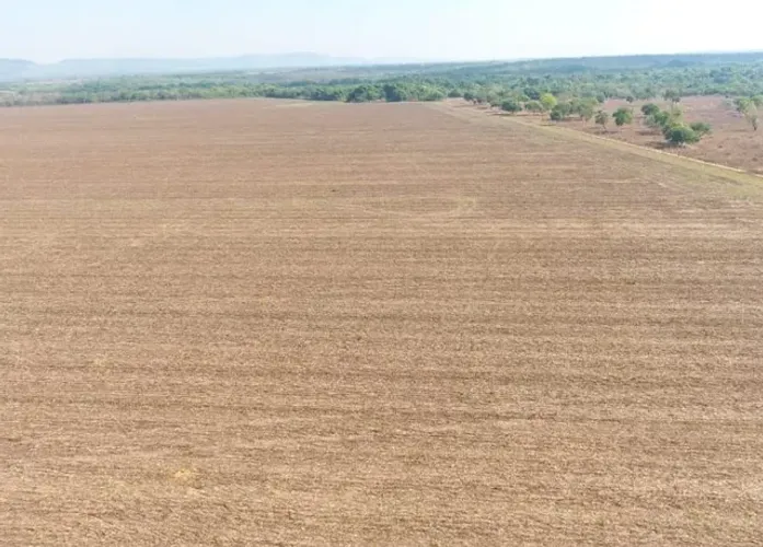 Fazenda em Silvanopolis. Dupla aptidão.