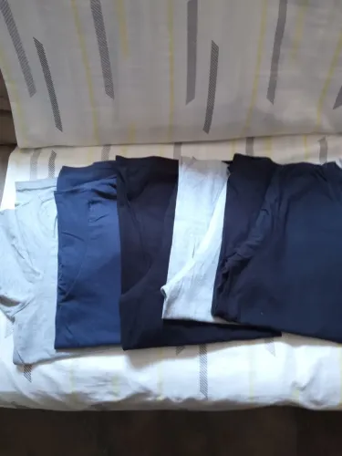 5 camisetas Hering G 