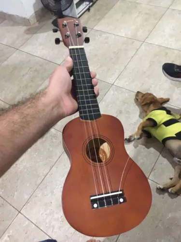 Ukulele Acústico