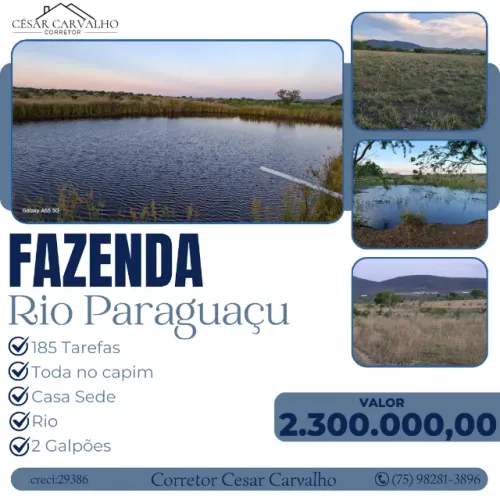 FAZENDA  RIO PARAGUAÇU - 185 TAREFAS