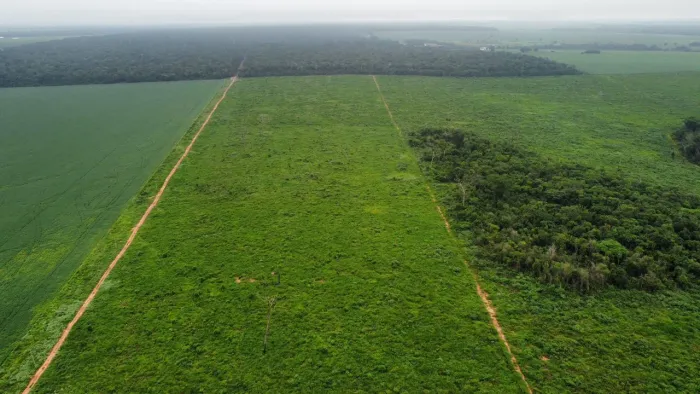 Fazenda 1.024 hect em Nova Motum MT 200 aberto, 28 milhões.