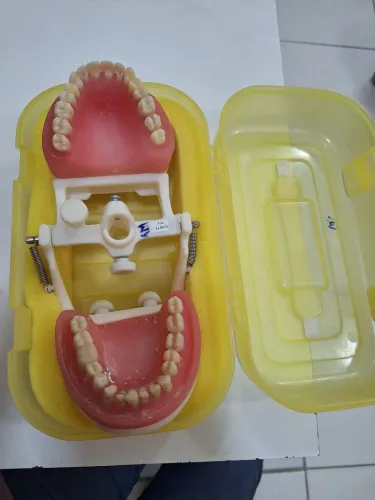 Modelo Dentística - Pronew ODONTOLOGIA