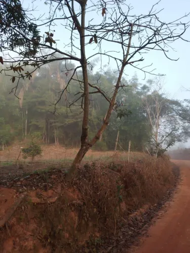 Terreno na Serra dos Pinheiros - Ponte Nova - MG