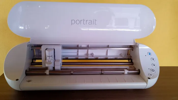 silhouette portrait 3