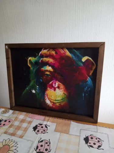 Quadro decorativo de macaco colorido.o