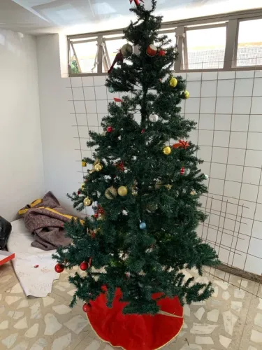 Árvore de Natal bem grande