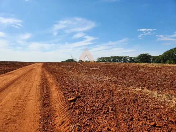 Fazenda - Ribeirão Bonito - Zona Rural