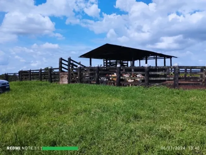 175 hectares com 80% em pasto,toda cercada e dividida, curral completo, casa sede, barracã