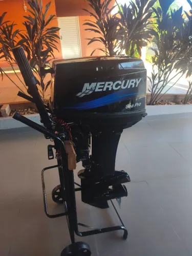 Motor de Popa 25 HP Seapro 2012
