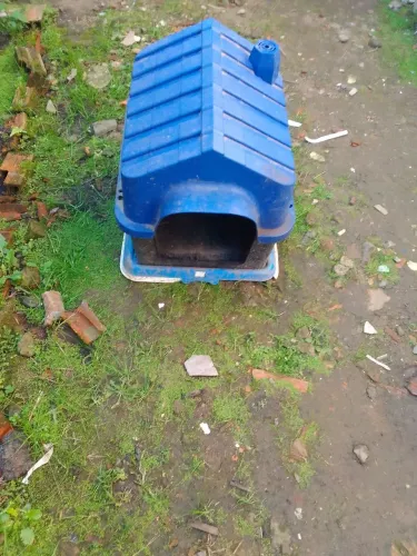 Casinha de cachorro porte médio usada