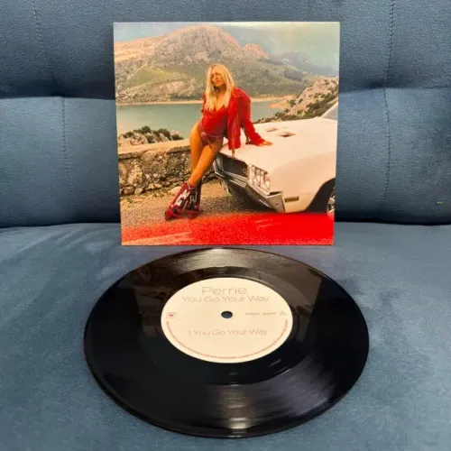 LP Vinil Compacto Single 7" Perrie You Go Your Way