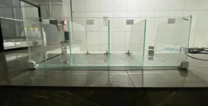 PORTA BALAS ESTILO BALCÃO - 4 DIVISÓRIAS