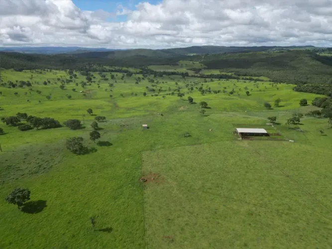 Fazenda Itapaci - Go