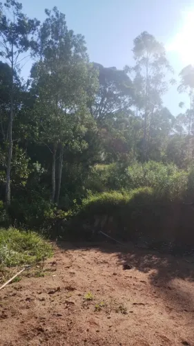 Terreno interior