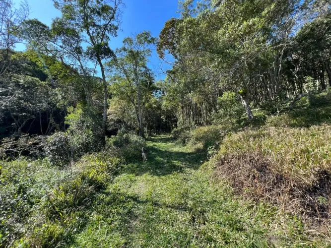 Sítio à venda em Centro de Ouro Fino Paulista - Ribeirão Pires | Cinerama Imóveis